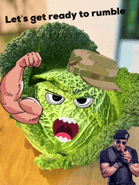 Lets Get Ready To Rumble Fight GIF