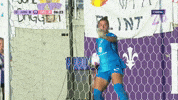 Goalkeeper Save GIF by National Women's Soccer League