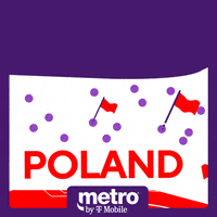 Poland Flag Soccer GIF by Metro by T-Mobile