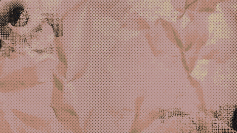 Tash_Hill giphyupload GIF
