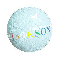 Freestyle Panna Sticker by nassereljackson