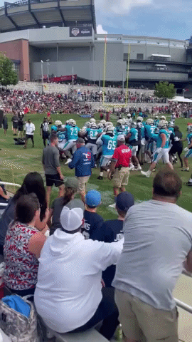 Brawl at Patriots-Panthers Football Practice