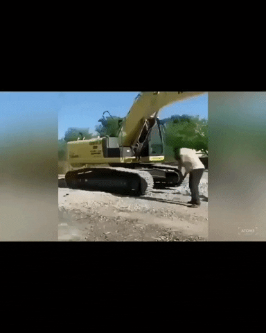 Wait What GIF by JustViral.Net
