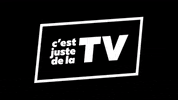 CJDLTV-artv cjdltv artv cest juste de la tv cjdltv artv GIF
