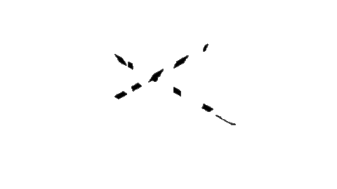 evrimagaci giphyupload evrimağacı Sticker