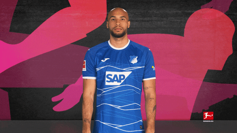 Brooks Hoffenheim GIF by Bundesliga