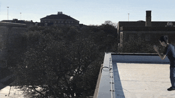 College Student Falling GIF by ODE Willie's Funky Bunch
