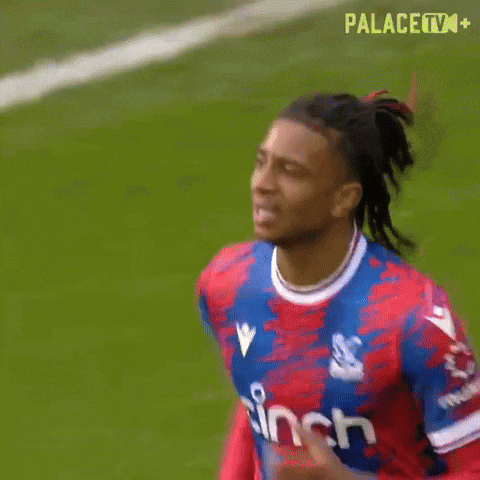 France Thank You GIF by Crystal Palace Football Club