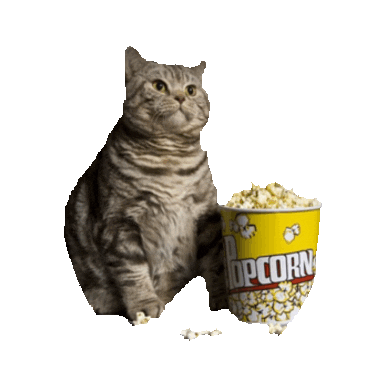 awesome cat STICKER by imoji