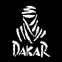 Car Rally GIF by Shamilov