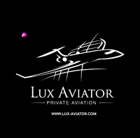 Lux-Aviator plane flight jet private jet GIF