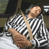 신성 GIF
