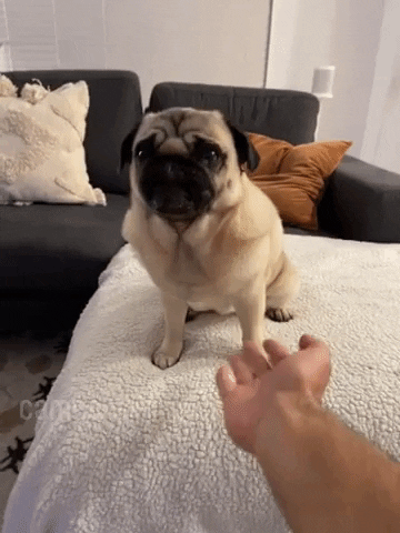 High Five Give It To Me GIF by Cameo