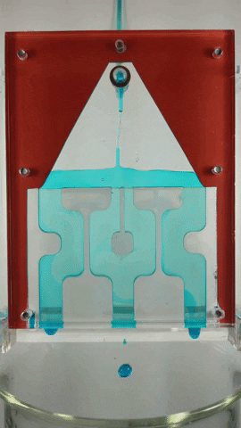 wyss GIF