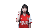 Arsenal Gunners Sticker by Shoot for Love