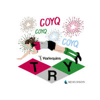 Womens Rugby Sticker by Harlequins Women