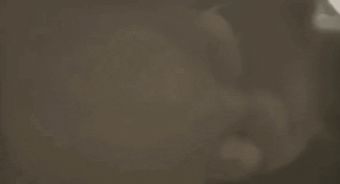 To The Moon Meme GIF by Ooki