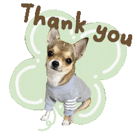 Thanks Sticker