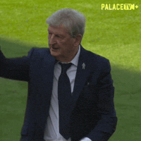 Premier League Win GIF by Crystal Palace Football Club