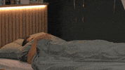 Hand Conducting GIF by Big Brother 2021