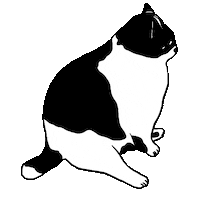 wonderyash cat chill sit kucing Sticker