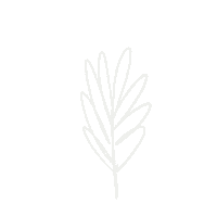 Flower Plant Sticker by banamacomunicacion