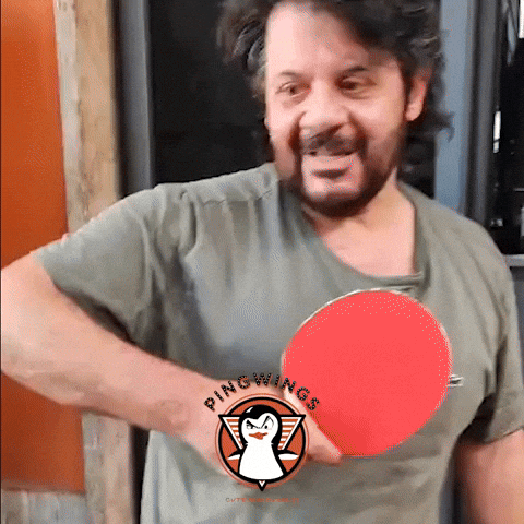 Tennis Table GIF by PINGWINGS