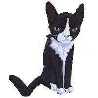 meirha cat blink kat tuxedo cat Sticker