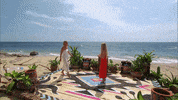 Season 6 GIF by Bachelor in Paradise