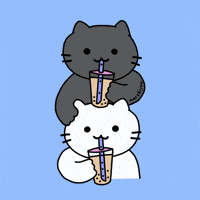 Tea Time Tapioca GIF