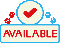 Lindsey Steward Sticker by OKC Frenchies