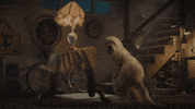 GIF by Giffffr