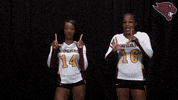 Stunt GIF by CUCougars