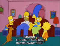 homer simpson GIF