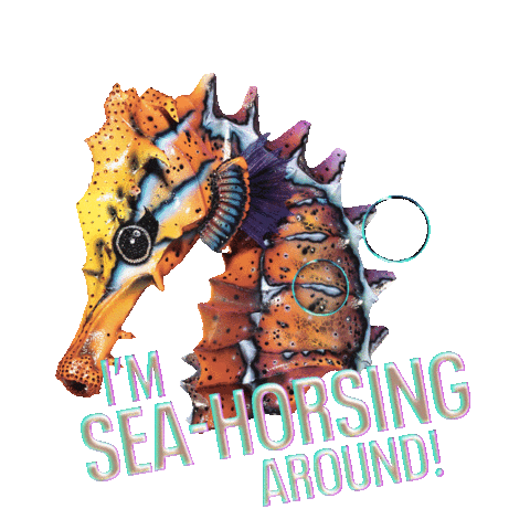 Pun Seahorse Sticker by The Masked Singer