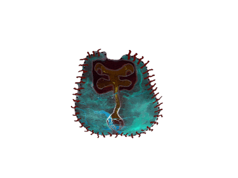 garrybarker giphyupload Sticker