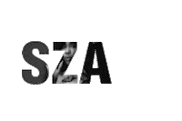 music festival Sticker by III Points