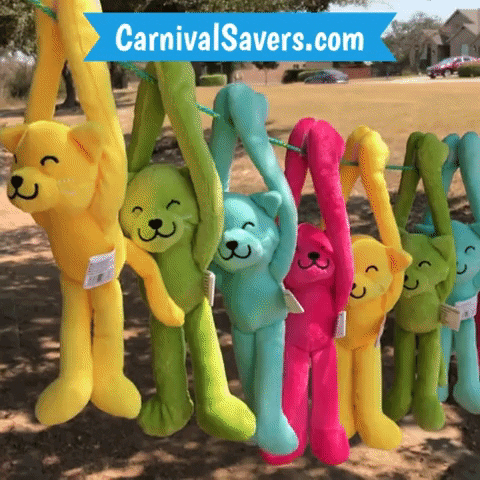 CarnivalSavers giphyupload carnival savers carnivalsaverscom carnival prizes GIF