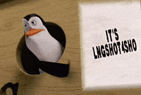 Louis GIF