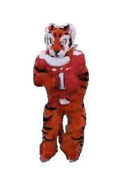Dance Dancing Sticker by Clemson Tigers