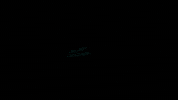 holiday-check holidaycheck neujahrskracher GIF