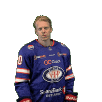 Fight Ken Sticker by VIF Hockey