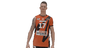 Volleyball Berlin Sticker by BR Volleys
