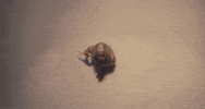 Streets GIF by Doja Cat