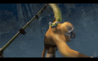 Kung Fu Panda Monkey GIF