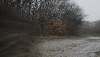 Car Ride GIF by The Running Man