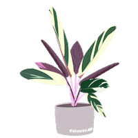 Plants Diy Sticker by toom Baumarkt