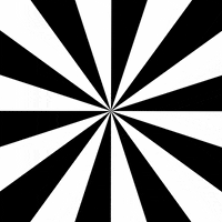 Black And White GIF by Feliks Tomasz Konczakowski