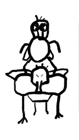 T9chia pedro morocco maroc traction GIF