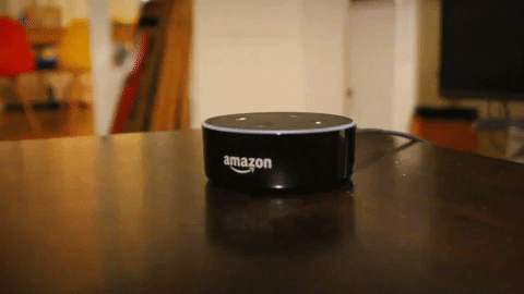 amazon alexa GIF